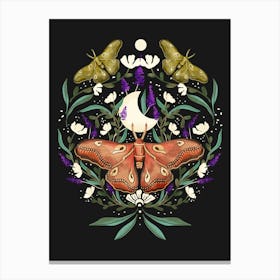 Moth And Flowers Canvas Print