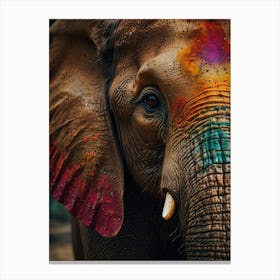 Rainbow Elephant  Canvas Print