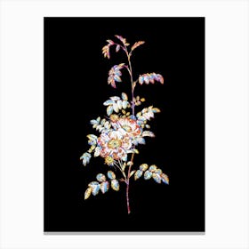 Stained Glass Alpine Rose Mosaic Botanical Illustration on Black n.0174 Canvas Print
