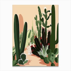 Cactus Garden 18 Canvas Print