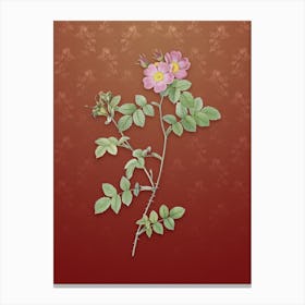 Vintage Pink Sweetbriar Roses Botanical on Falu Red Pattern n.2462 Canvas Print
