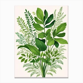 Botanical painting 1 Canvas Print