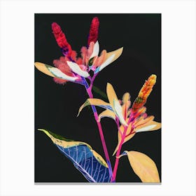 Neon Flowers On Black Celosia 1 Canvas Print