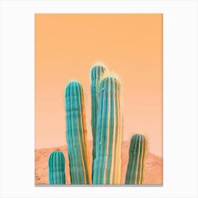 Cactus In The Desert 3 Canvas Print