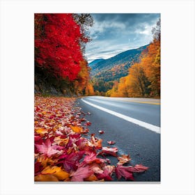 Beautiful Road In Autumn 12 Canvas Print