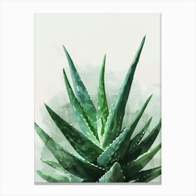 Aloe Vera Plant Minimalist Illustration 2 Canvas Print