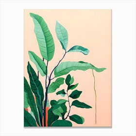 'Banana Plant' Canvas Print