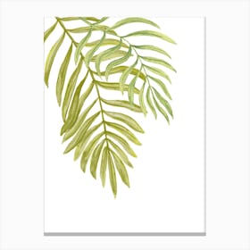 Watercolor Tropical Leaf On White Canvas Print