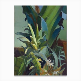 Staghorn Fern Cézanne Style Canvas Print