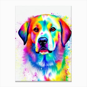 Dogo Argentino Rainbow Oil Painting dog Canvas Print