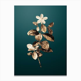 Gold Botanical Gardenia on Dark Teal n.4578 Canvas Print