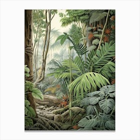 Vintage Jungle Botanical Illustration Monstera 1 Canvas Print