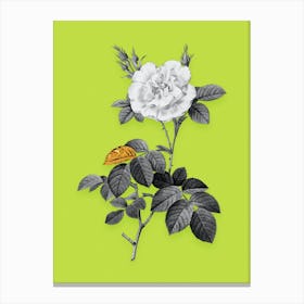Vintage White Rose Black and White Gold Leaf Floral Art on Chartreuse n.0013 Canvas Print