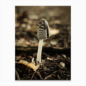 Brown Mushroom // Nature Photography Canvas Print