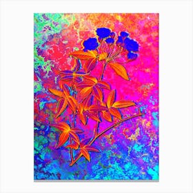 Lady Bank's Rose Botanical in Acid Neon Pink Green and Blue n.0033 Canvas Print
