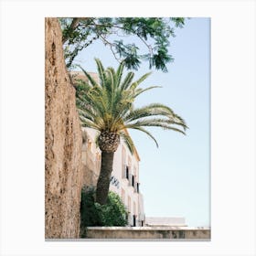 Palm tree in the street of Eivissa // Ibiza Travel Photography Canvas Print