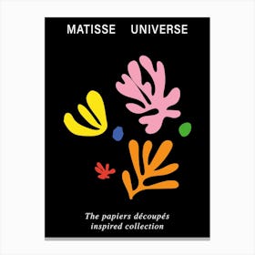 Matisse Universe Colours Canvas Print