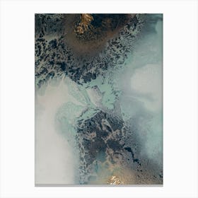 Transition 3 Canvas Print