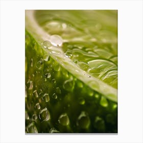 Water Droplets On Lime 5 Canvas Print
