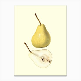 Pears 3 Canvas Print