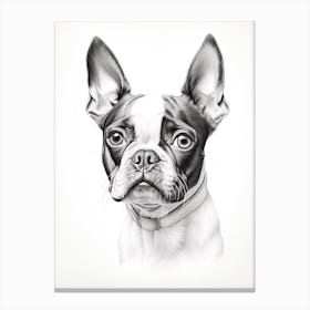 Boston Terrier Dog, Line Drawing 2 Canvas Print