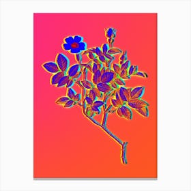 Neon Rosebush Botanical in Hot Pink and Electric Blue n.0134 Canvas Print