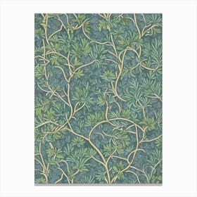 Pinyon Pine tree Vintage Botanical Canvas Print