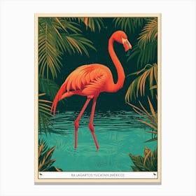 Greater Flamingo Ra Lagartos Yucatan Mexico Tropical Illustration 1 Poster Canvas Print