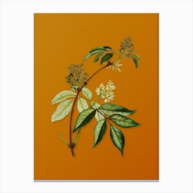 Vintage Red Elderberry Botanical on Sunset Orange n.0431 Canvas Print