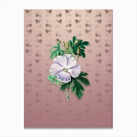 Vintage Wray's Hibiscus Flower Botanical on Dusty Pink Pattern n.0260 Canvas Print