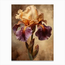 2024 May Poster Canvas Sng Iris 11 Canvas Print