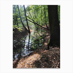 Stream In The Woods Canvas Print