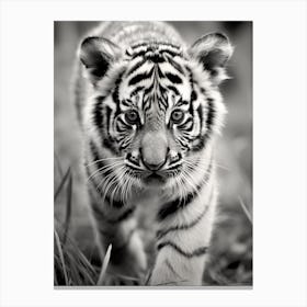 Black And White Photograph Of A Tiger Cub Canvas Print