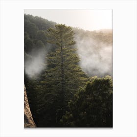 Mystical Sintra Foggy Forest Escape Canvas Print