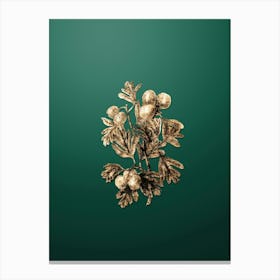 Gold Botanical Aronia Thorn Flower on Dark Spring Green n.1379 Canvas Print