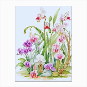 Orchids Canvas Print