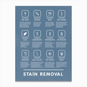 Mid Century Modern Laundry Guide With Stain Removal   Canvas Print