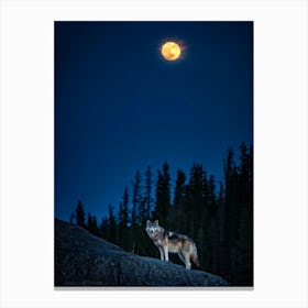 Wolf In The Moonlight 4 Canvas Print