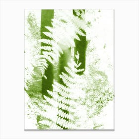 Abstract Green Ferns Canvas Print