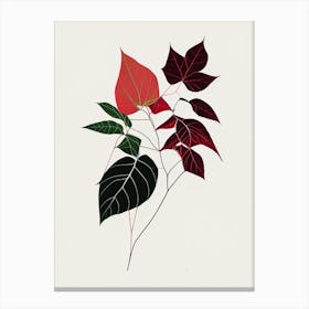 Western Poison Ivy Minimal Line Drawing 3 Canvas Print