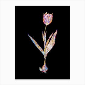 Stained Glass Tulip Mosaic Botanical Illustration on Black Canvas Print