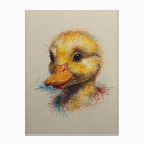 Duckling 1 Canvas Print