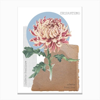Crisantemo Canvas Print