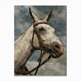 Horse With Bridle Canvas Print