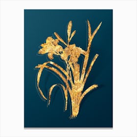 Vintage Orange Day Lily Botanical in Gold on Teal Blue n.0266 Canvas Print