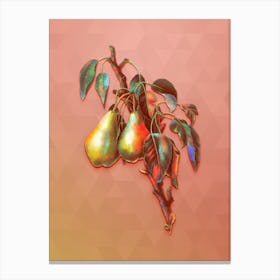 Vintage Lemon Pear Botanical Art on Peach Pink n.0376 Canvas Print