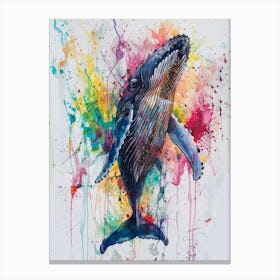 Humpback Whale Colourful Watercolour 4 Canvas Print