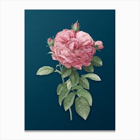 Vintage Giant French Rose Botanical Art on Teal Blue n.0608 Canvas Print