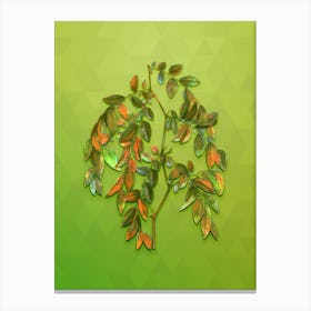 Vintage Jujube Botanical Art on Love Bird Green n.0732 Canvas Print