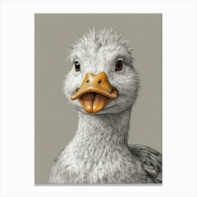 Duck Portrait Canvas Print